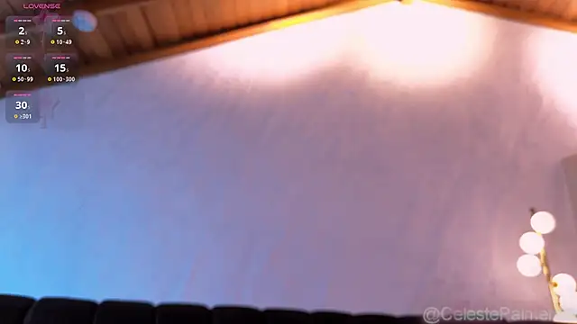 CelestePalmer_ webcam