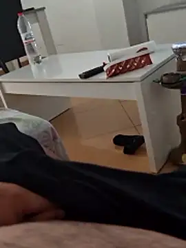 t-dog26 webcam