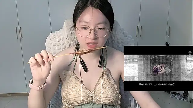 Erya-369 webcam