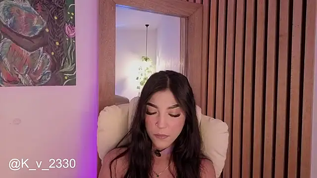 sofiesoft webcam