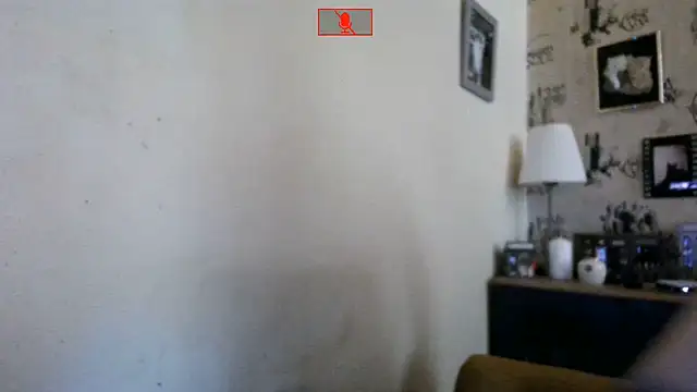 Hgay6935 webcam