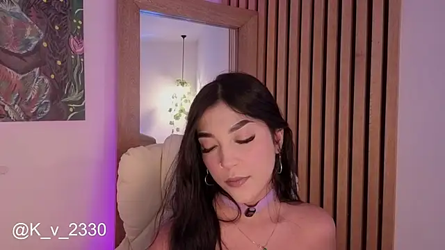 sofiesoft webcam