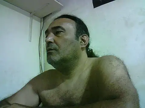 enginbasar webcam
