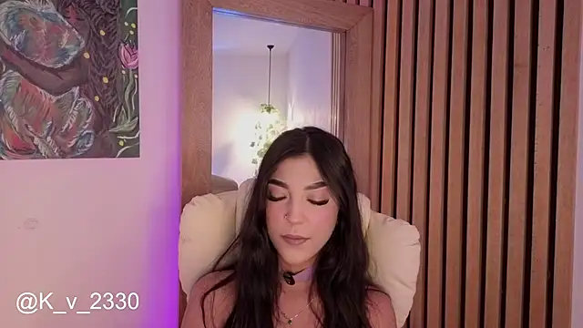 sofiesoft webcam