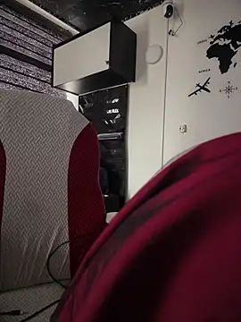 Sasha-firee webcam
