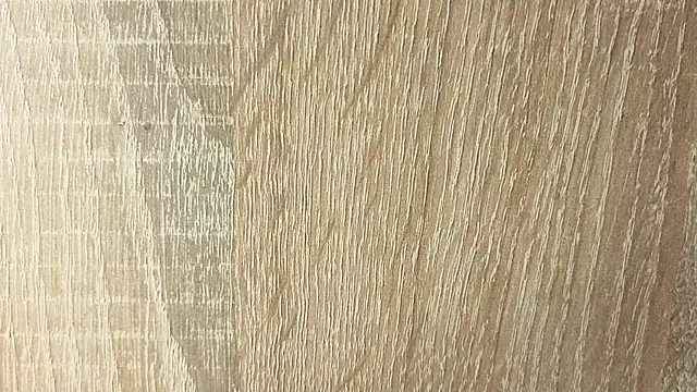 NoFace_Model webcam