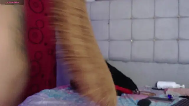 charlotte_brawn webcam