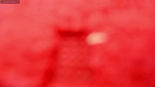 fridasr_3 webcam