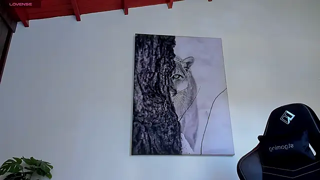 Santos_ramirez1 webcam