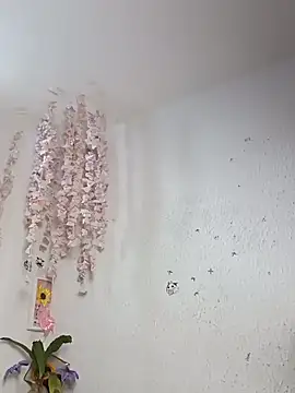 Kuutar webcam