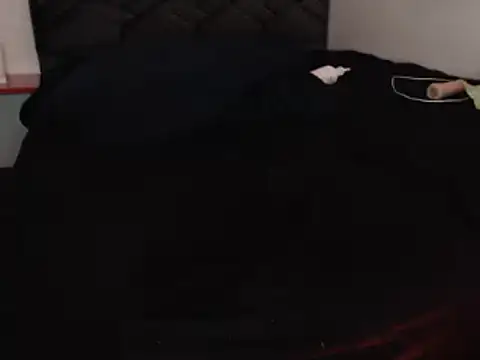 danypalmer webcam