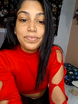 Putaalexa webcam