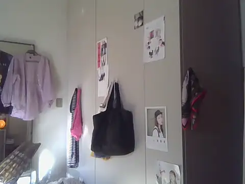 plsmecha webcam
