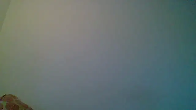 Kaappi1967 webcam