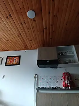 _Dr-Luna_1 webcam