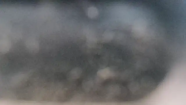 YourHotGreg webcam