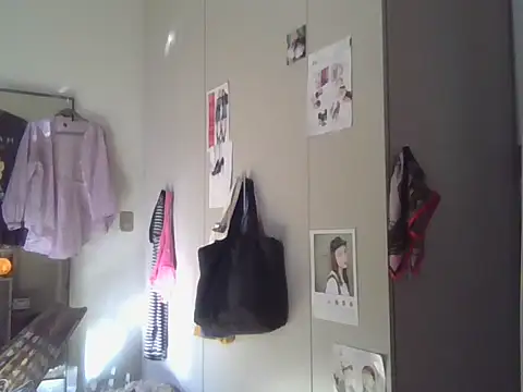plsmecha webcam