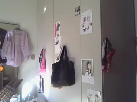 plsmecha webcam