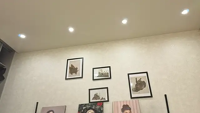 dolly_ll webcam