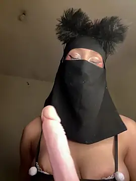 arabayla webcam