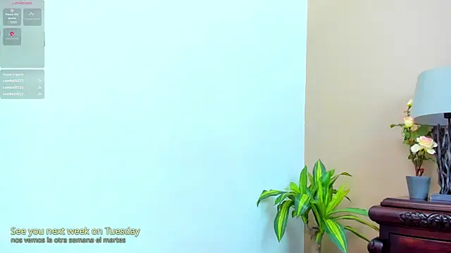 AriSweet webcam