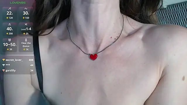BB_Web webcam