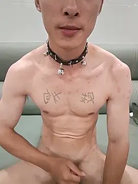 ju-zi8 webcam