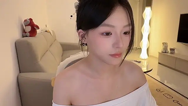 Robin-o3 webcam