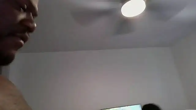 Tattedupdek webcam