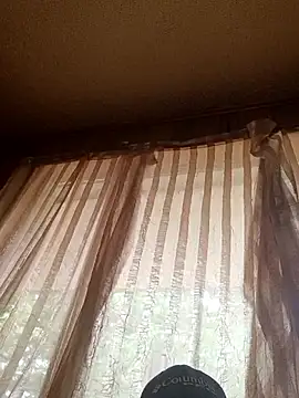 Rooster149628tim webcam