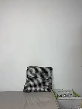 XBD-1 webcam
