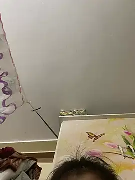 Mon_04 webcam
