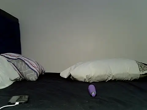 Vishyon webcam