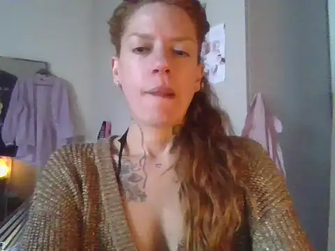 plsmecha webcam