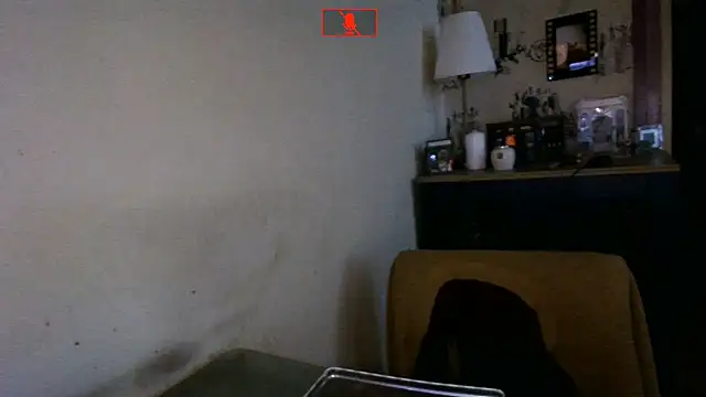 Hgay6935 webcam