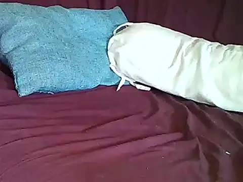 BaalPas webcam