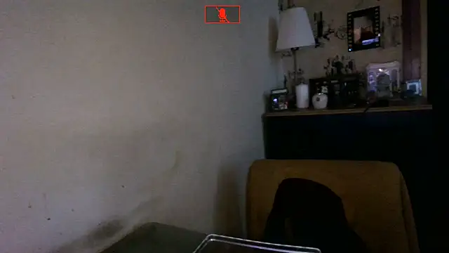 Hgay6935 webcam
