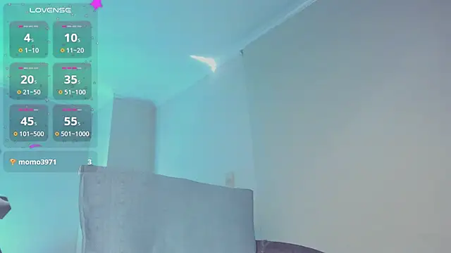 Samispank webcam