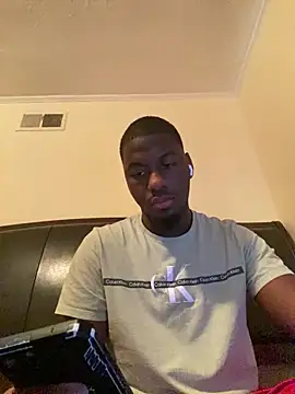 ThickDic28 webcam