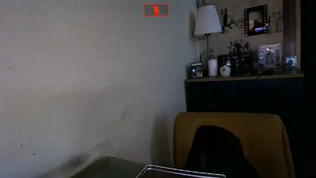 Hgay6935 webcam