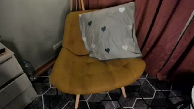 PocketDollX webcam