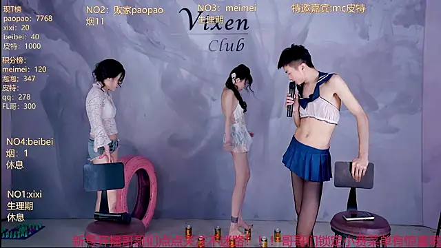 MG_068 webcam