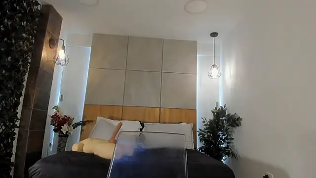 JacobDraven webcam