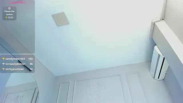 Liastarkk webcam