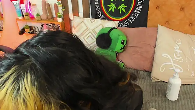 MeowMota_ webcam