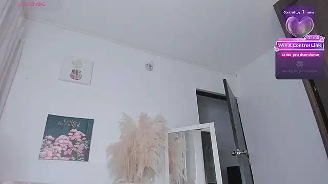 athenaking webcam