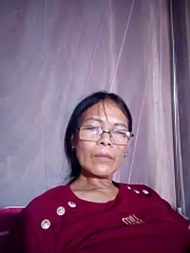 toyo_668 webcam