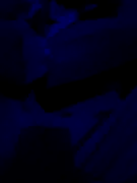 malluflash webcam