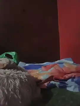 Itsraniarti webcam