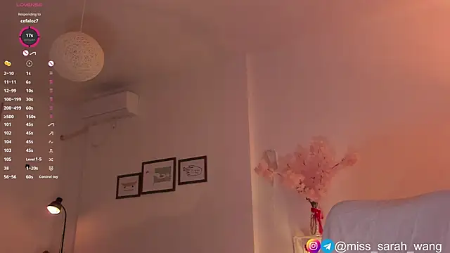 sarah_wang webcam